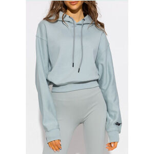 VB Victoria Beckham Reebok Sweatshirt Pullover Hoodie Gorpcore Logo Small